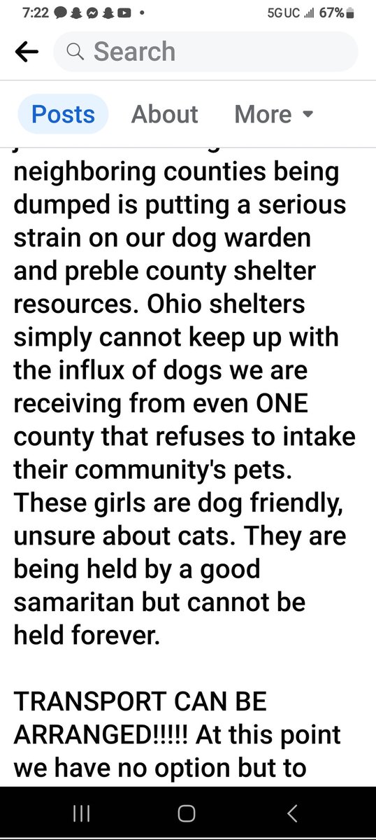 PitbullTina's tweet photo. #PleaseRTRTRT! THIS A HAIL MARY PLEA & CRY OUT TO SAVE THESE 2 BEAUTIFUL BABYGIRLS LIVES! PLS HELP! PREBLE CO, UT! THESE POOR SISTERS WERE DUMPED & WILL SOON BE KILLED! THESE BABIES ARE LOVING FRIENDLY & SEEM LIKE THE SWEETEST EVER! https://t.co/cDjpSFUWPU https://t.co/V7jhagYJLn