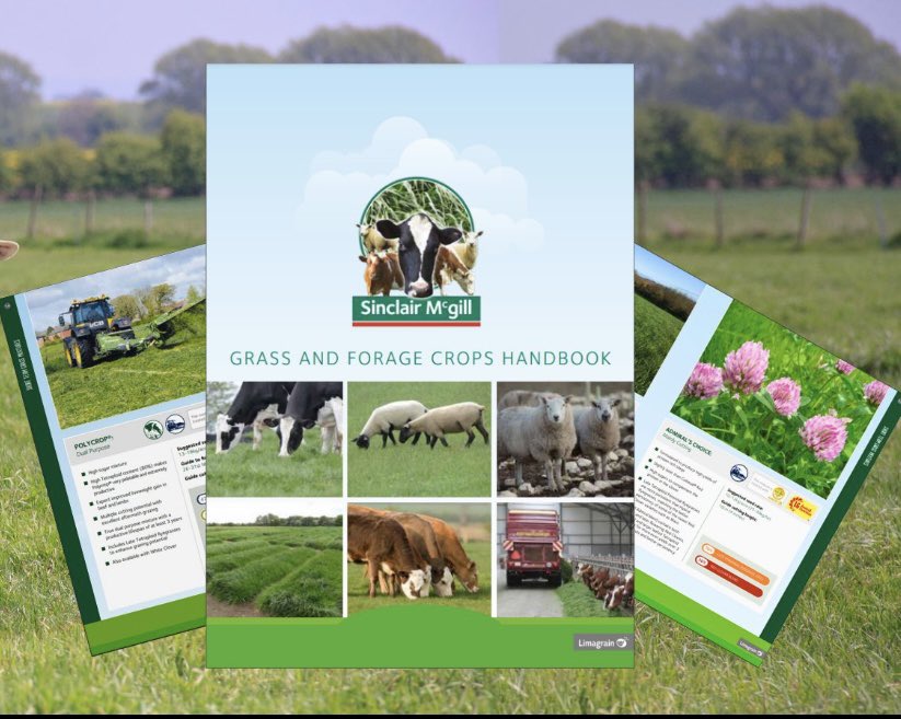 Have you seen our latest Grass and Forage crop Handbook? 

Are you considering a new grass ley or looking to rejuvenate an existing one?  🌱☘️🐄

Download now 👉🏼 bit.ly/3ZFjs6Z