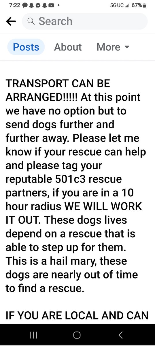 PitbullTina's tweet photo. #PleaseRTRTRT! THIS A HAIL MARY PLEA & CRY OUT TO SAVE THESE 2 BEAUTIFUL BABYGIRLS LIVES! PLS HELP! PREBLE CO, UT! THESE POOR SISTERS WERE DUMPED & WILL SOON BE KILLED! THESE BABIES ARE LOVING FRIENDLY & SEEM LIKE THE SWEETEST EVER! https://t.co/cDjpSFUWPU https://t.co/V7jhagYJLn