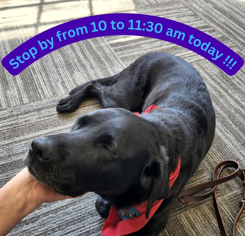 Milne_Library's tweet photo. #geneseo today in #FraserHallLibrary https://t.co/pxwkD4A3qv