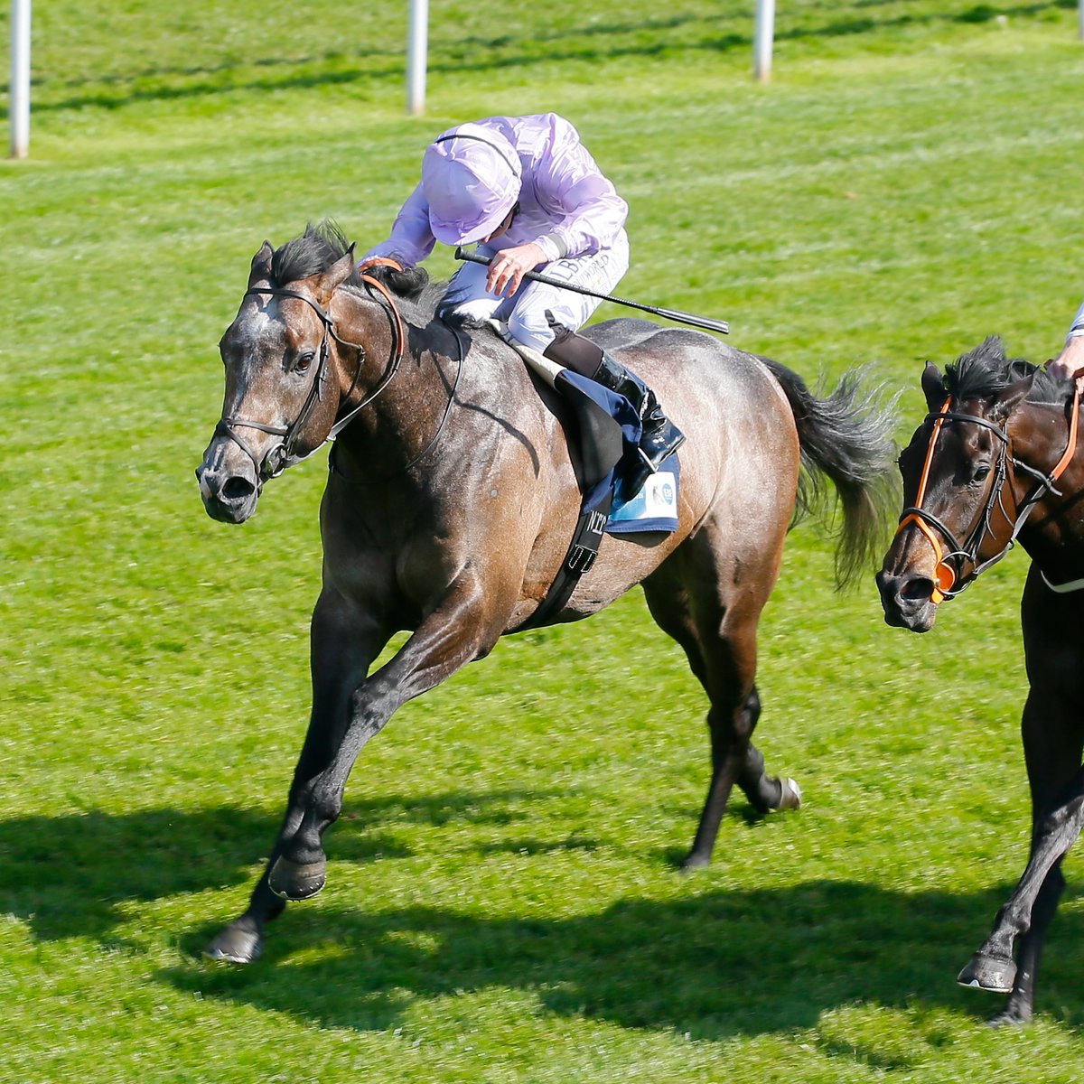 RacingPost's tweet photo. Garrus wins the Group 3 Abernant Stakes at Newmarket! 👏 https://t.co/fXu8Ak6BpG