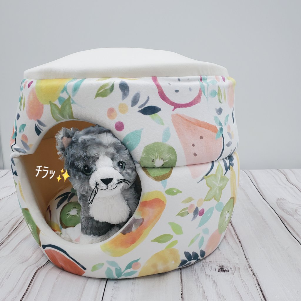 adorablepets_OS's tweet photo. ファミリセールでは、降りたたんでベッドにもなっちゃうハウスなども販売予定であります✨勝手にフルーツポンチと命名してます(中の人内の話)
#ペットベッド #夏用 #犬のいる暮らし #猫のいる暮らし #おいでよファミーセール #adolabo #Sサイズ #わんにゃん  #大阪 #堺筋本町 https://t.co/F8H7IS8Hki