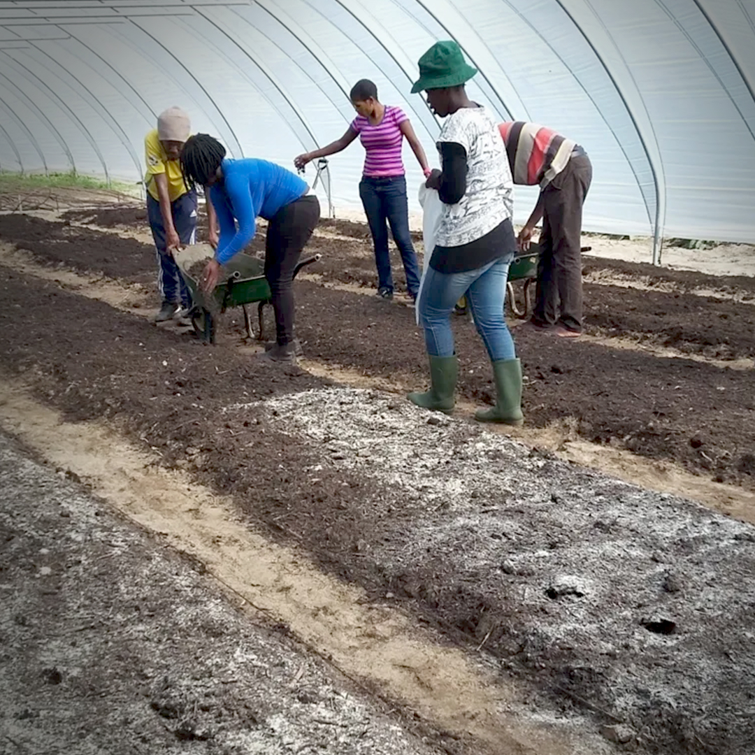 kelpakglobal's tweet photo. Kelpak’s technical expert, Heino Papenfus, recently shared his knowledge on how to best apply Kelpak® with farmers at a workshop held by @abalimi_bezekhaya a non-profit organisation. We are grateful to have had this opportunity to contribute to this worthwhile project.

#kelpak https://t.co/7LJOZXw1jn