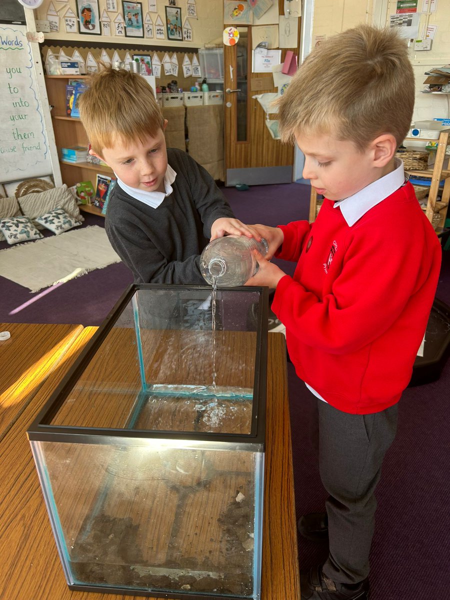 Carolside_PS's tweet image. P2a were excited to welcome some new friends to class today. They prepared the tank for the tadpoles and are learning how to look after them to help them grow. 🐸 #CPSSTEM