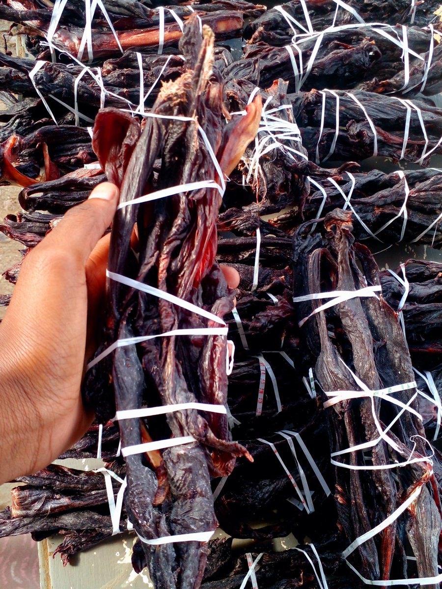 ElizabethNdapew's tweet photo. Get yourself oodhigu dhOsino(Gemsbok)
For N$40.00 only
Windhoek,Wanahenda
Contact 0813801233 for directions 
Kindly RT my customers might be on your TL. https://t.co/VTK5wgMQMH