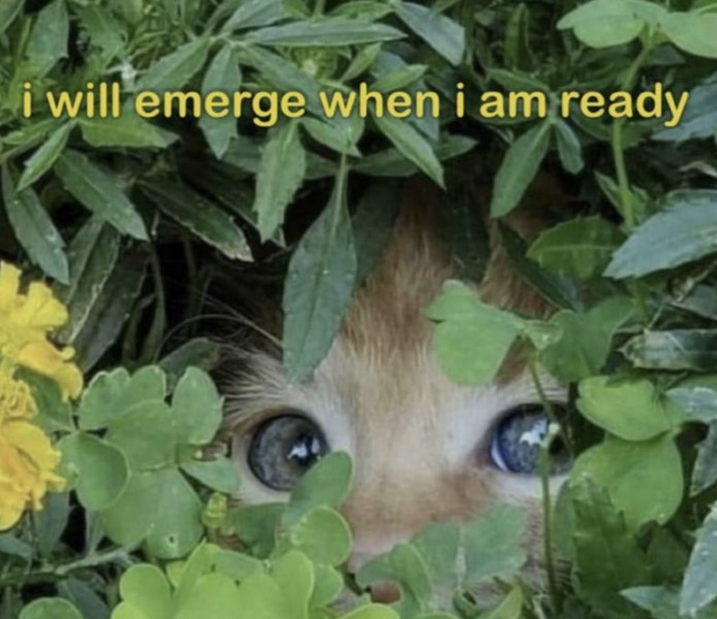 earthdombaby's tweet photo. IT’S OFFICIALLY TAURUS SEASON https://t.co/Ad0yX9kZEx