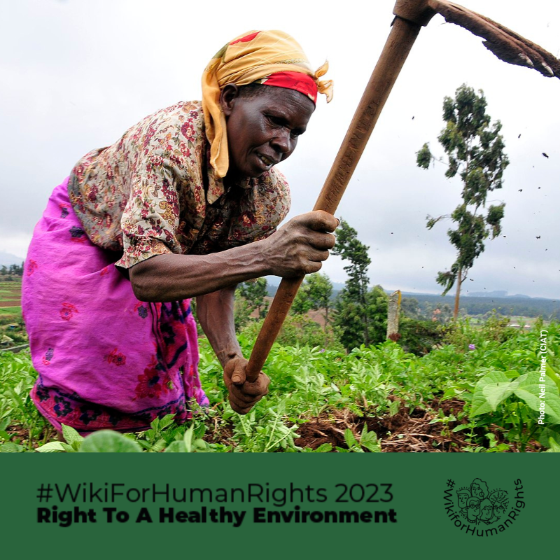 Everyone should have access to fact-based information on our right to a healthy environment.

Join the #WikiForHumanRights challenge and write about communities advocating for the protection of their environment: bit.ly/3mSTqA0