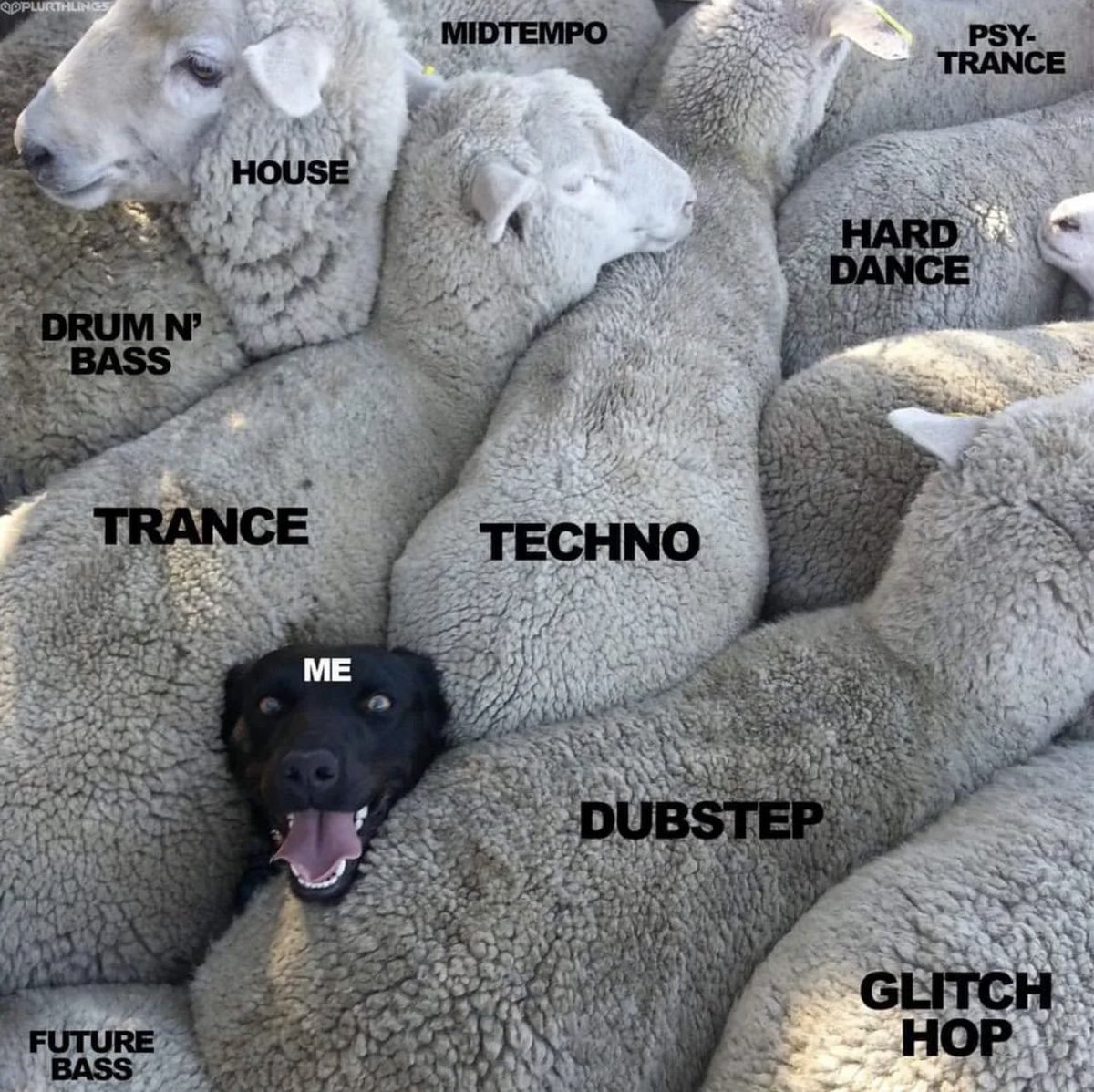 atledmofficial's tweet photo. When someone asks what kind of music you’re into 🐶 https://t.co/CTSzZ4fx4r
