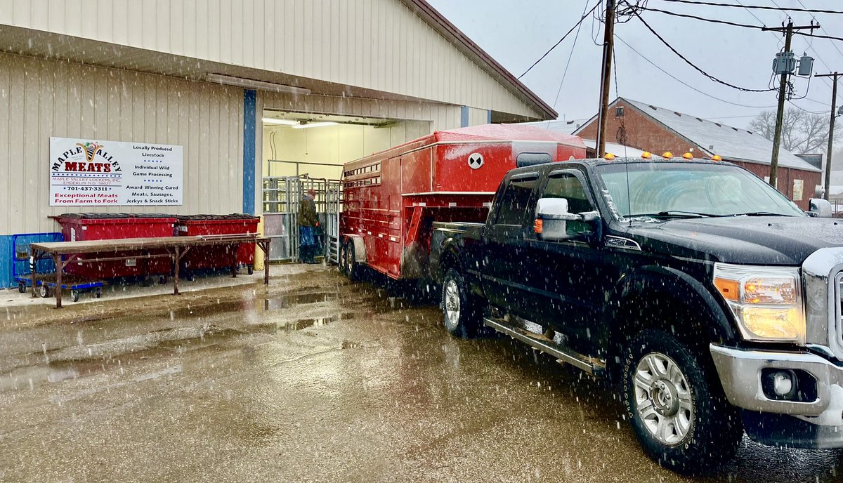 JeremyH750's tweet photo. More of our Durocs going to the local butcher this morning for our customers. Wet and snowy start to the day. #localpork #pork #farming #makingbacon #northdakota https://t.co/4hJ6XmJGJ4