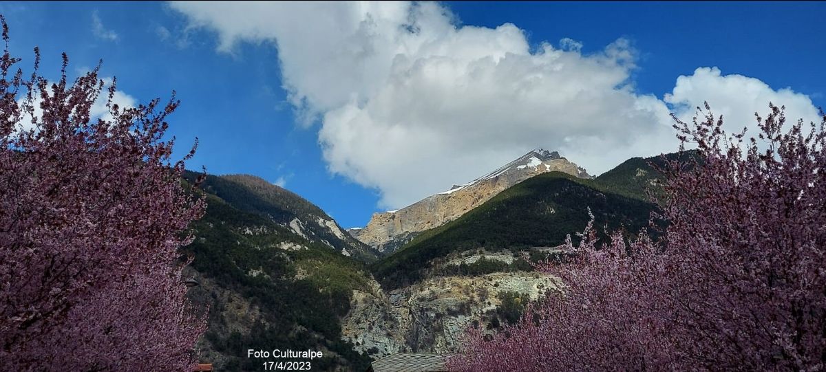 OulxTurismo's tweet photo. SUCCEDE A OULX - LE NEWS DEL 20 APRILE 2023 - https://t.co/lxbvTbWB7u https://t.co/FEGgOxxc9V