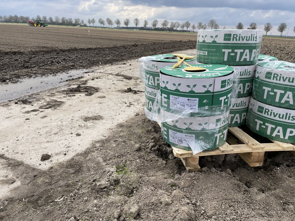 PietJan_vdEijk's tweet photo. Driptapes leggen in de Flevopolder voor Fertigatie @iperen_nl #driptape #fertigatie https://t.co/O1C18y1Alp