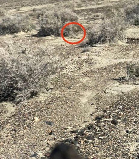 Piyush K (newdeworld) tweet media