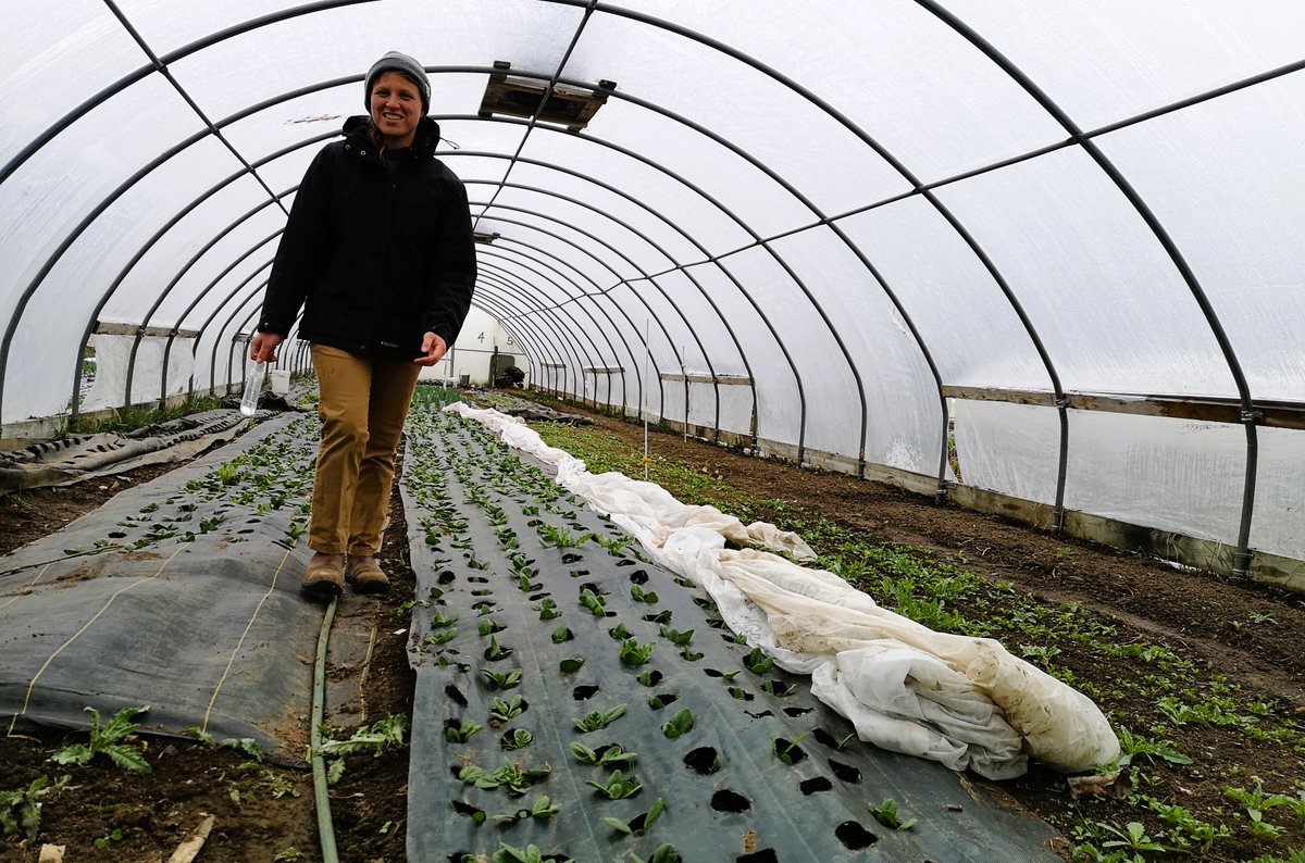 andrewcoppolino's tweet image. Tune in tomorrow at 7:40 a.m. ... @craignorriscbc and I talk to local 
#CSA farmers. They are popular ways of eating your #vegetables, but are they the right choice for your family? #TheMorningEdition on @CBCKW891 ...