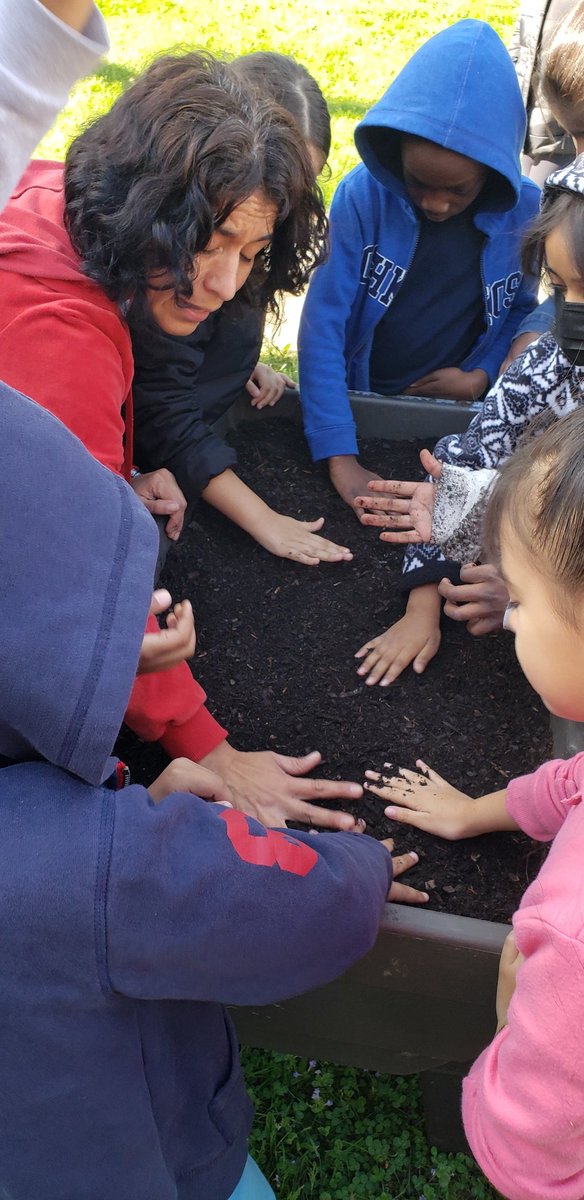 Cre8tiveLib's tweet photo. Thank you @GoNatureForward for the fantastic hands-on learning experiences for our @es_flower 2nd graders as they planted their lettuce for their #saladscience gardens. https://t.co/TiPg8Pm98v