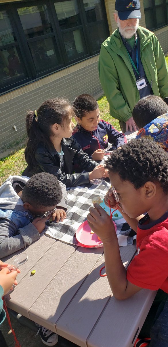 Cre8tiveLib's tweet photo. Thank you @GoNatureForward for the fantastic hands-on learning experiences for our @es_flower 2nd graders as they planted their lettuce for their #saladscience gardens. https://t.co/TiPg8Pm98v