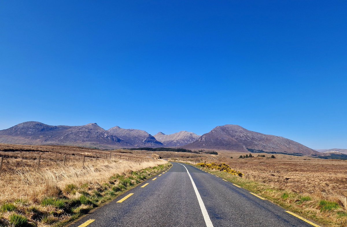 Aoife Dowd Artist tweet media