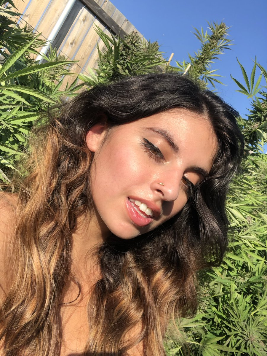 ittybittycherry on Twitter: "Happy #420day ! #420friendly #420community