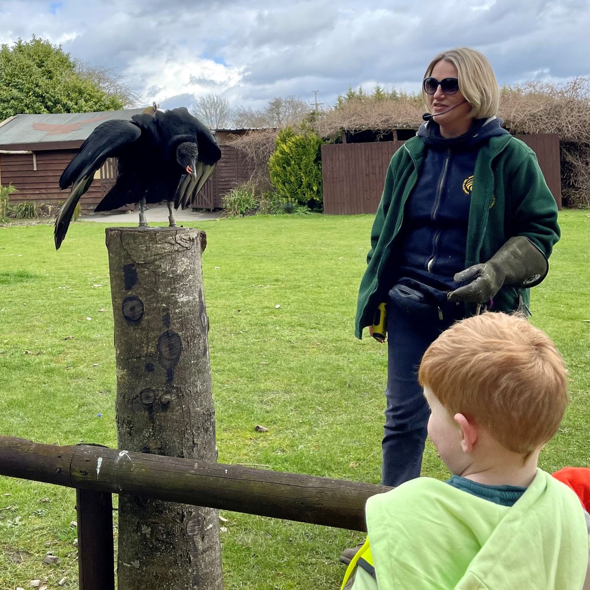 Reception had an amazing time visiting Liberty’s Owl, Raptor &amp; Reptile Centre in Ringwood just before the Easter Holidays. They met a variety of birds, snakes, spiders and lizards. 🦎🦉 A fun and educational day was had by all 💙

#BCS #Prep #SchoolTrip