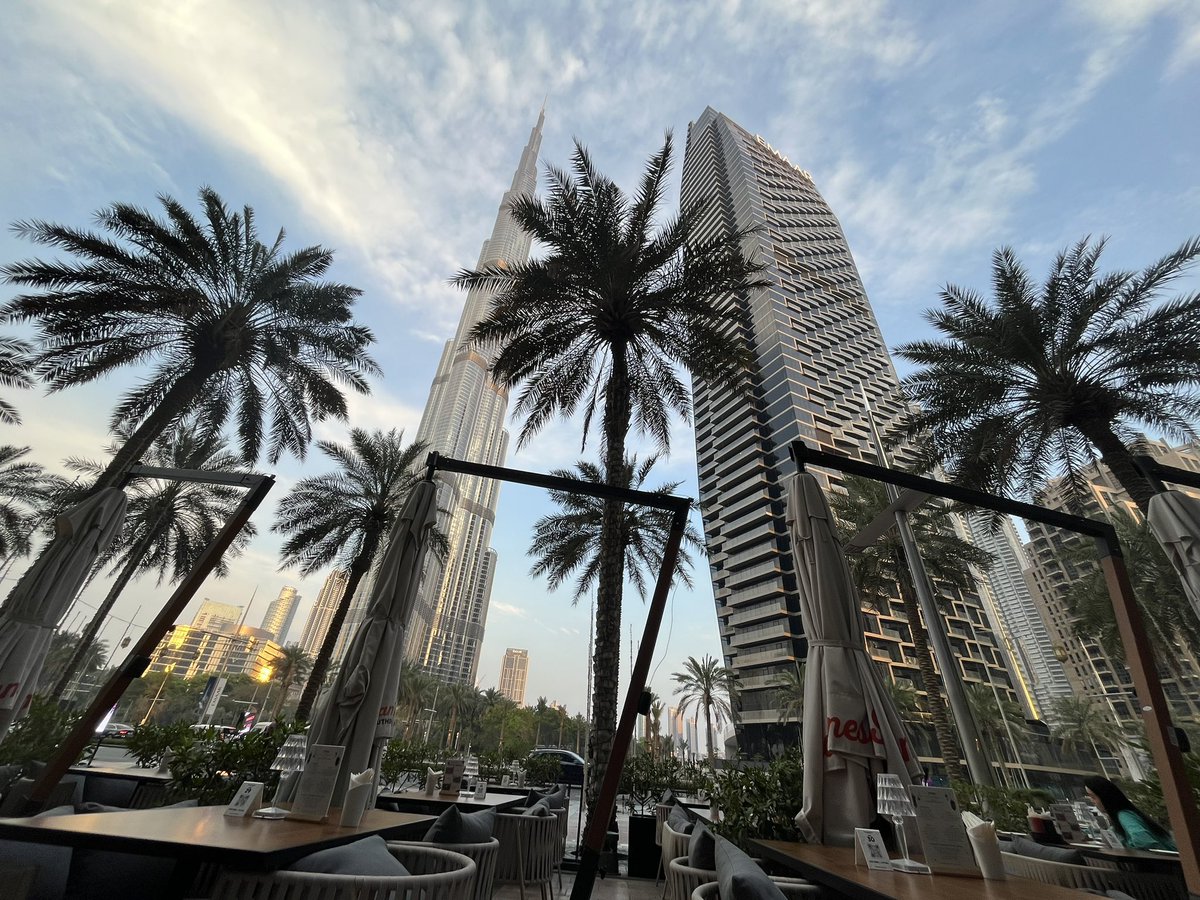 y0lloo's tweet image. Gm from Dubai ☀️

Say it back