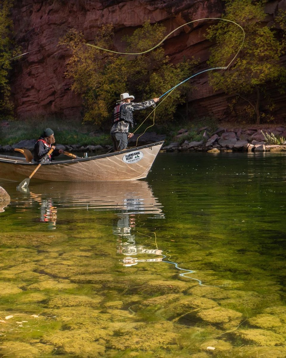 MidCurrent's tweet photo. "I shoveled snow until I was exhausted and I fell asleep. So let’s pretend I dreamed about colors instead of white." // image by Ryan Kelly @greenriverflyfisher
.
.
.
.
#greenriver #greenriverflyfishing #flyfishing #tightloops #dryfly #bwo #bluewingedolive #browntrout https://t.co/s3Mda9NPsO