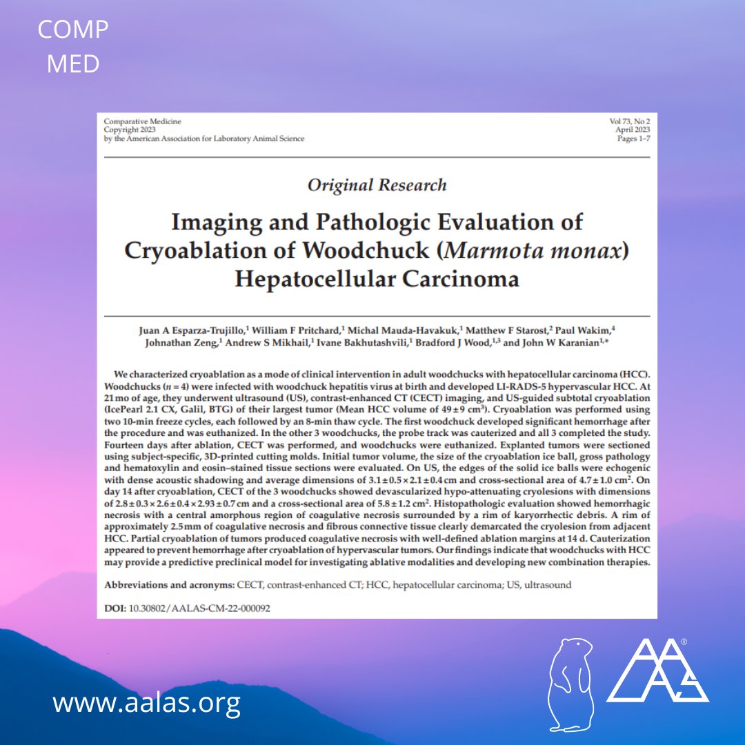 AALASnational's tweet photo. You may learn how much wood a woodchuck can chuck, but you can learn something new here! https://t.co/JMTDlli55Q #CompMed #AALAS #woodchucks https://t.co/ekmrxZijux