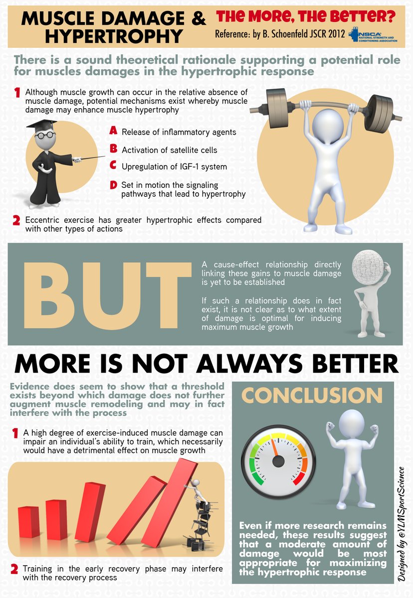 JustAFitGirl4U's tweet photo. 💪🏻 Muscle damage &amp; Hypertrophy: The more, the better? via @NSCA
 ⚠️ A threshold seems to exist beyond which damage does not further ⬆️ muscle remodeling &amp; may in fact interfere with the process
 📍 https://t.co/sHnxhVIsql Infographic by YLMSportScience https://t.co/aK3dmixXzd