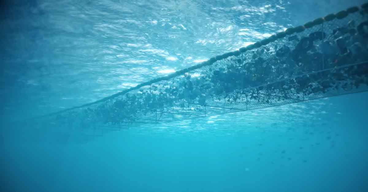 MarineInsight's tweet image. Pacific Garbage Patch Is So Vast That It Is Now Supporting A Lively Ecosystem, Scientists Claim 

...Check Out this article 👉buff.ly/3MZsDg3 

#Pacific #GarbagePatch #Shipping #Maritime #MarineInsight #Merchantnavy #Merchantmarine #MerchantnavyShips