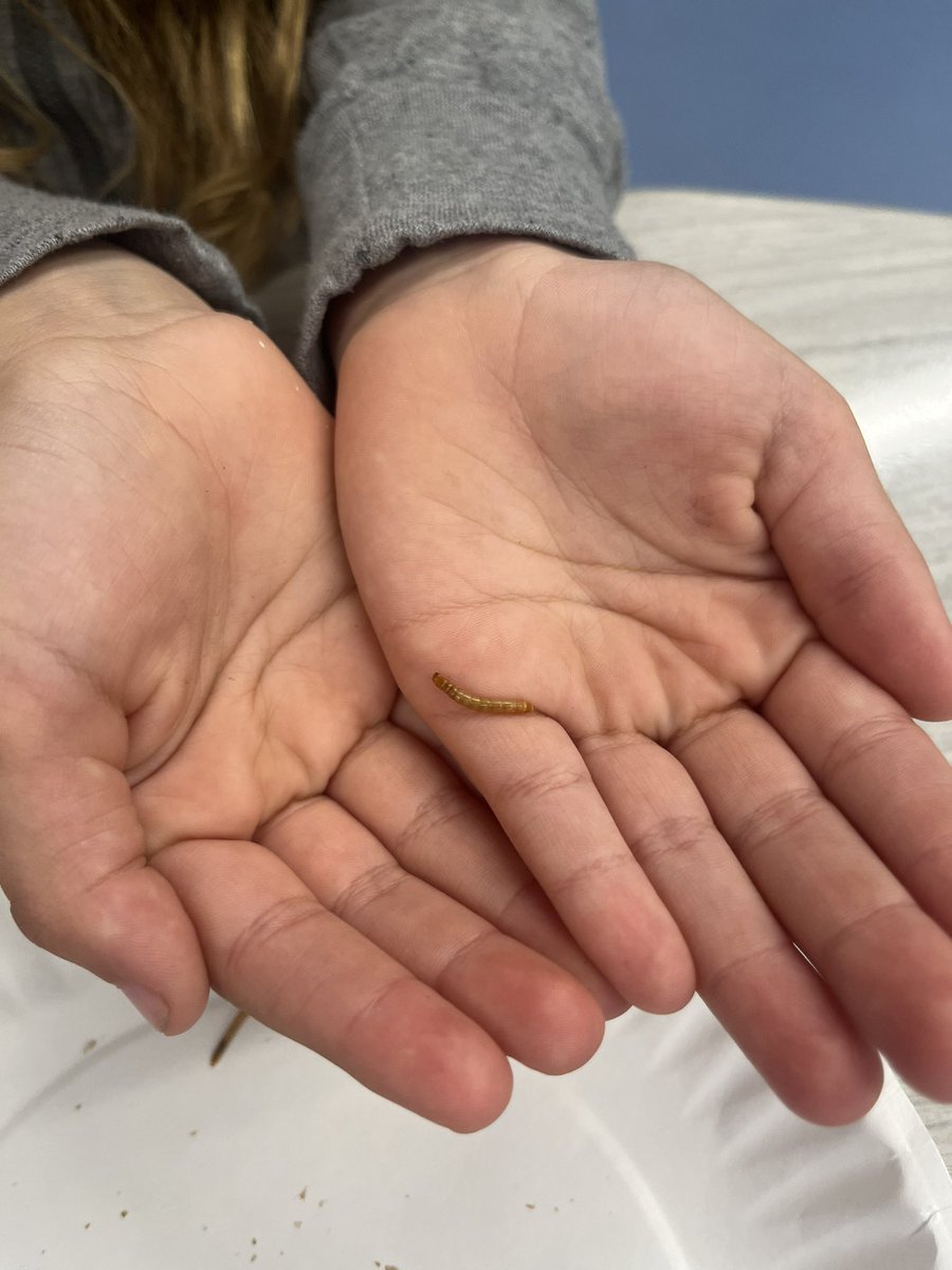 Kerry Leahey and Mallory Coffin tweet media