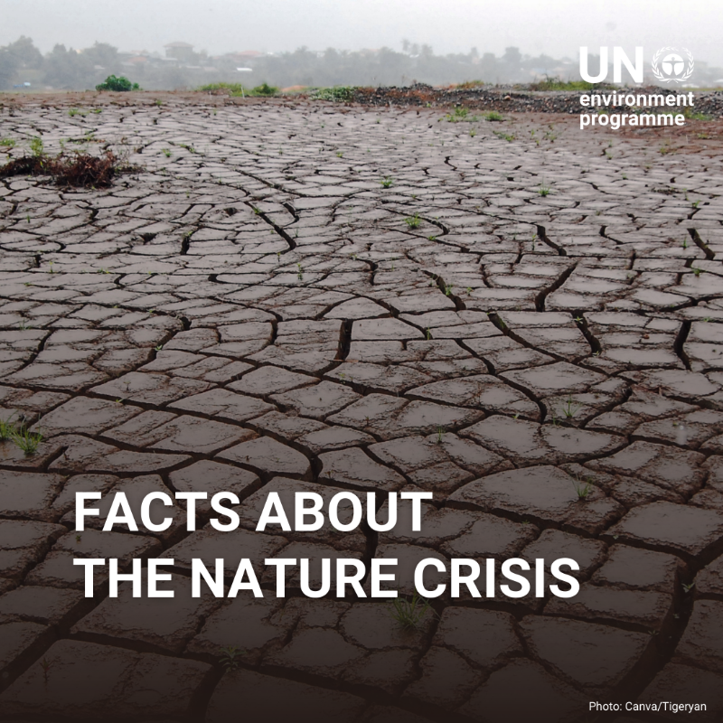 UNEP's tweet photo. The Global Biodiversity Framework addresses the key drivers of biodiversity loss and puts the world on the path to halt and reverse nature loss by 2030.

Visit UNEP’s website for more science-based information on the nature crisis: