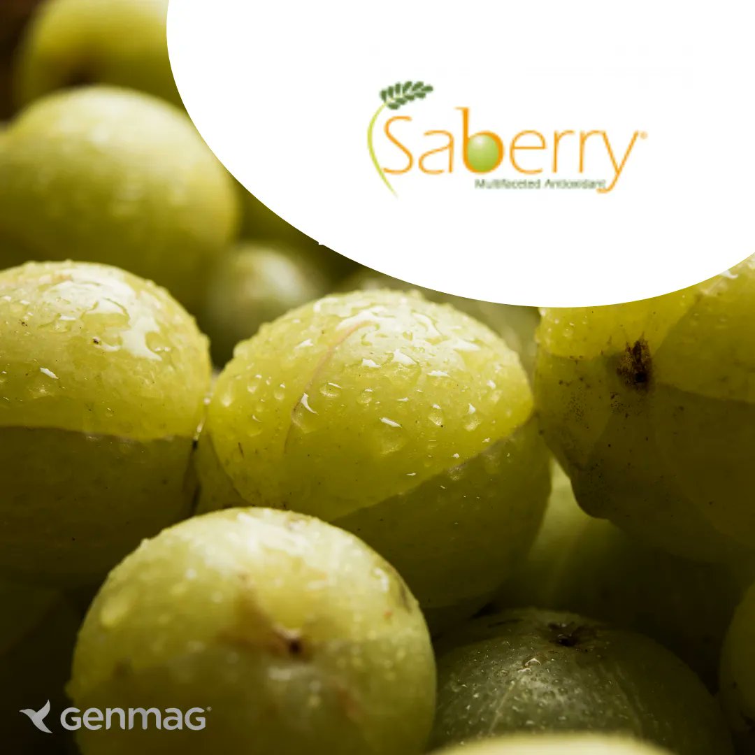 genmagofficial's tweet image. Discover the natural goodness of amla fruits with Saberry® from Sabinsa! This proprietary extract is processed through a novel method to retain the fruit's natural benefits with potential benefits for the body’s resistance to stress and rejuvenation. #Saberry #Sabinsa #AmlaFruit