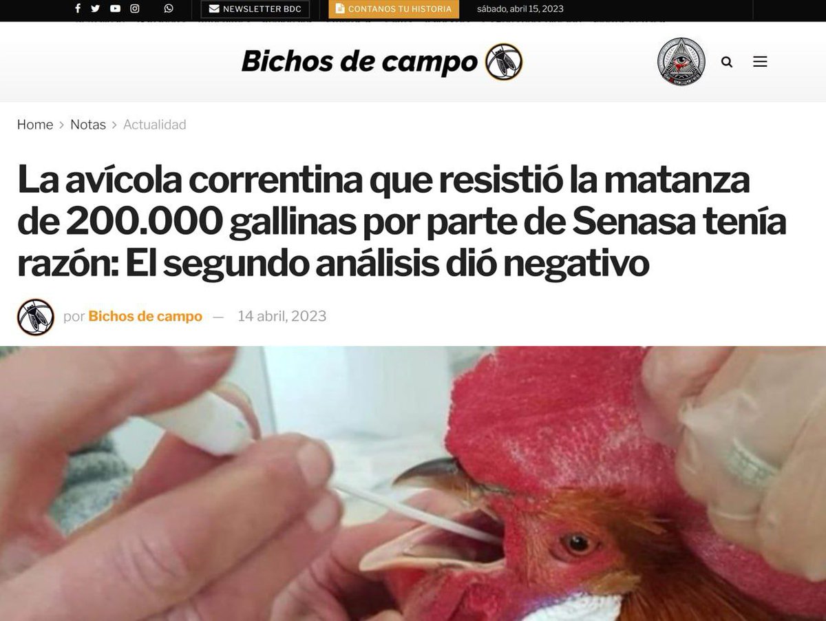 itajuschile's tweet photo. Influenza aviar es el nuevo engaño genocida mundial :
Lunes pasado, la avícola correntina Santa Ana Argentina, recurrió a la justicia para frenar operativo sanitario que implicaba el sacrificio de sus 200 mil gallinas ponedoras.
Resultado, ganó la avícola en la corte 👏 https://t.co/xUSs2dYB4a