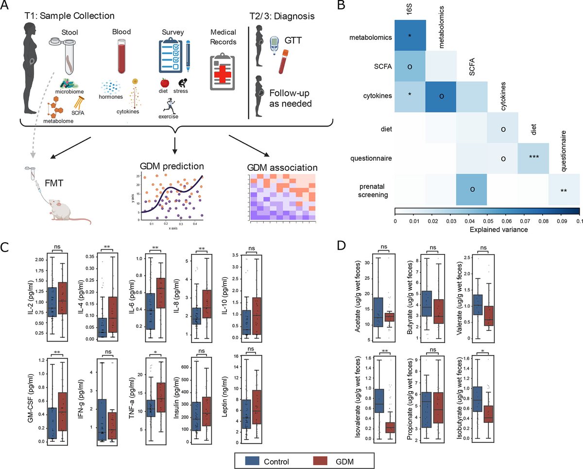 Gut_BMJ's tweet photo. #GUTImage from the paper

"Gestational diabetes is driven by microbiota-induced inflammation months before diagnosis" via https://t.co/7kotnAg8jE

@SondraTurjeman @Soliman72227832 @OmryKoren

#GDM #Microbiome https://t.co/OKpaGgi9JM
