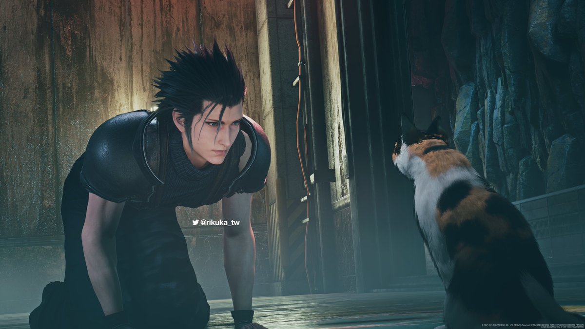 👀🐈
#CCFF7R #FF7R #FF7Rmod