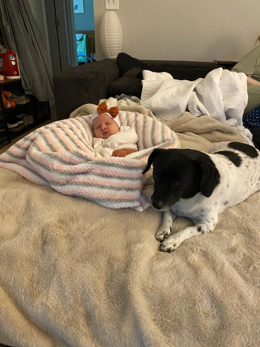 imcorinnemec's tweet photo. Just an update, Ernest is the official #BabyGuard https://t.co/jWQWcvWxL0