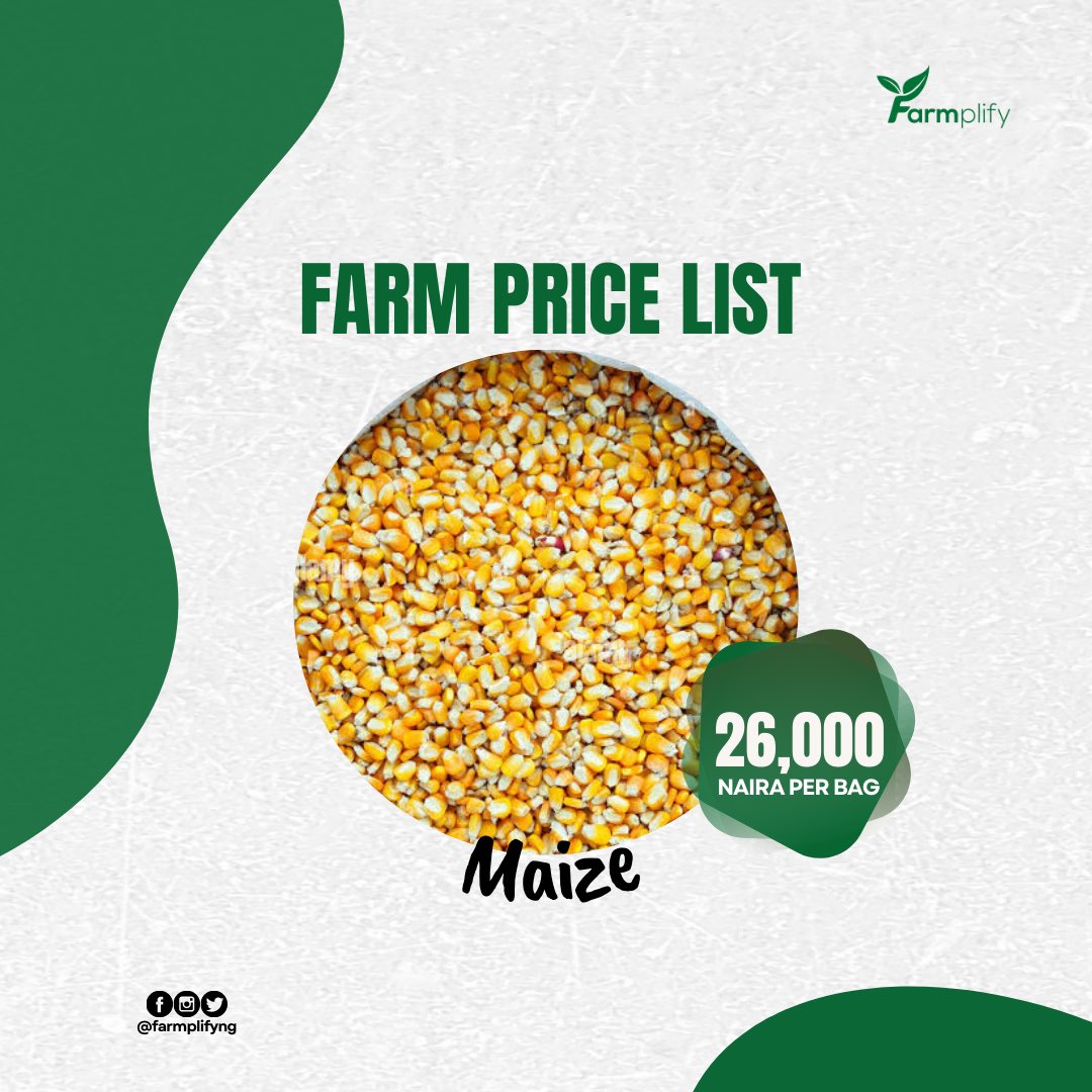 Farmplifyng's tweet photo. Hello🤗, we are excited to announce the latest price for our grains.
We produce quality grains, and we will surely provide you with the best value for your money👌.
Send us a DM today to place your order!
#farmplify #grains #farmproduce #price #quality #farm #agriculture https://t.co/bxcQM3IQRi