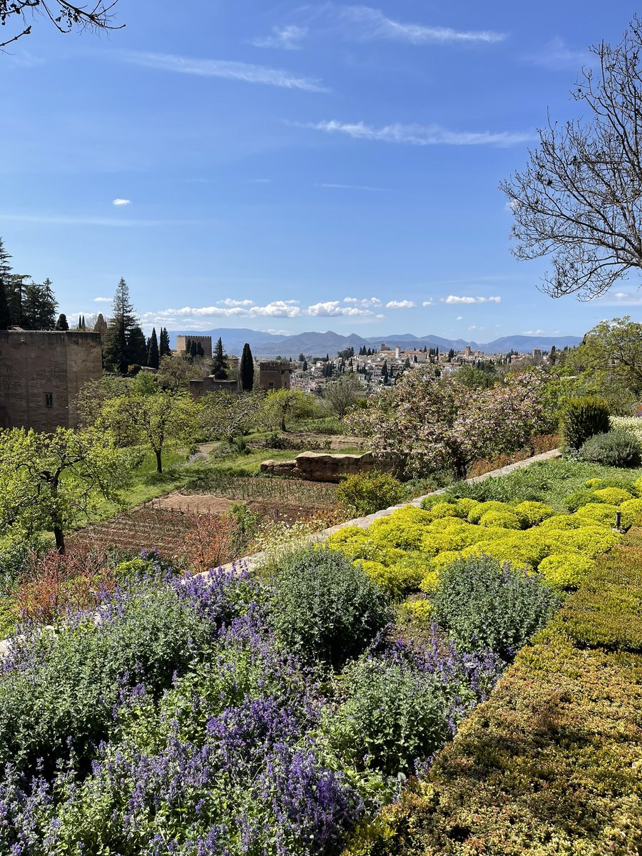VikySm's tweet photo. @Alhambra_Es Desde el Generalife 😍
Como Graná, ná 😍😍
PD: hay 1925 para los participantes? 😍😍😍 https://t.co/WDe1XVcn4F