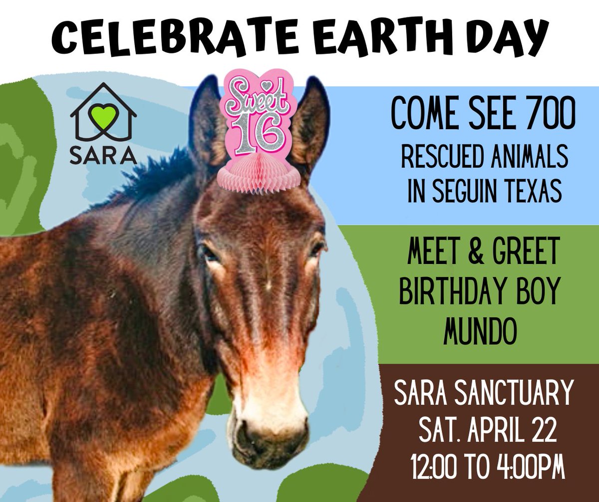 🌏 CELEBRATE EARTH DAY WITH US. Meet Mundo &amp; his animal friends. Fall in 💚 with SARA Sanctuary. 
mailchi.mp/sarasanctuary/…