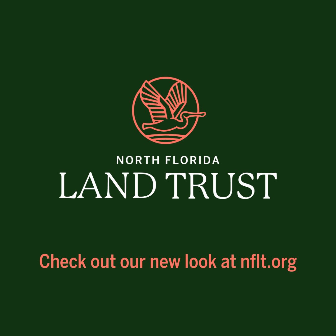 nflandtrust's tweet photo. We are proud to announce our rebrand and membership program! Learn about these changes, our new program and how you can get more involved on our website at https://t.co/G24qZYWipi.

#NFLT #inlandwetrust #northflorida https://t.co/6yak6XSiNk