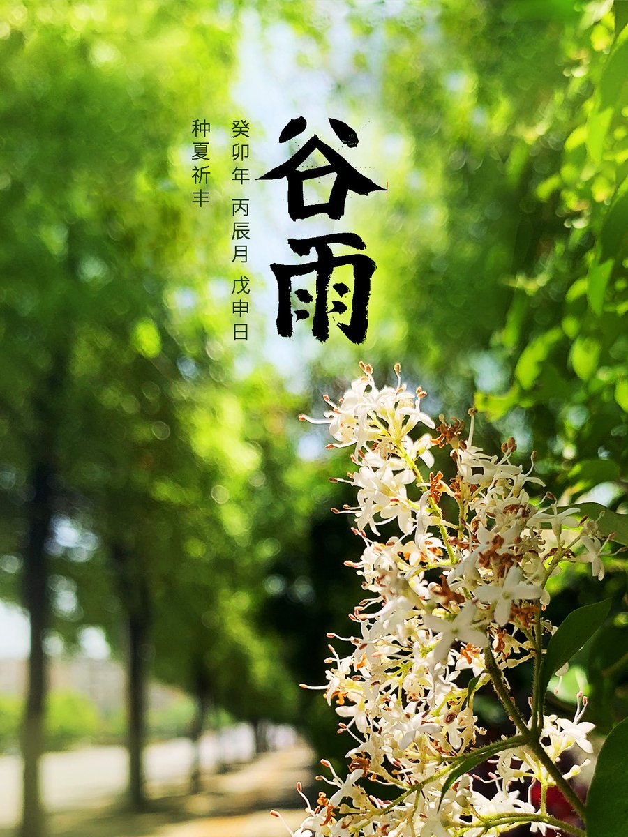 upUID's tweet image. 谷雨,种夏祈丰。
25.722, 112.731
#二十四节气 #谷雨 #二十四節氣 #毛筆字