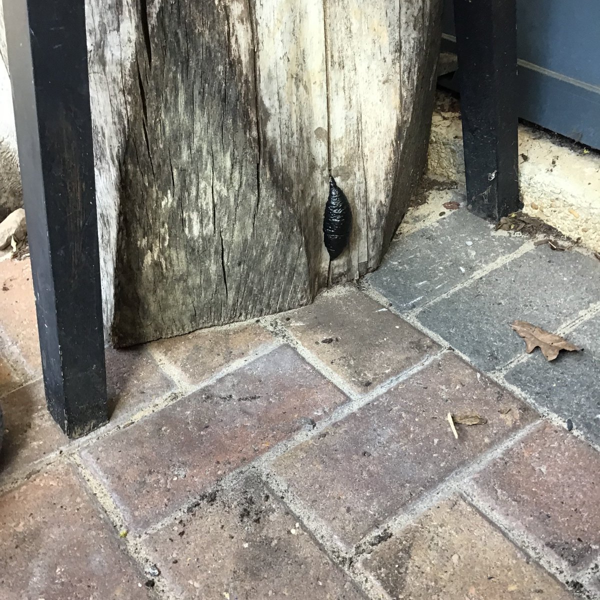 Mrs Young tweet media