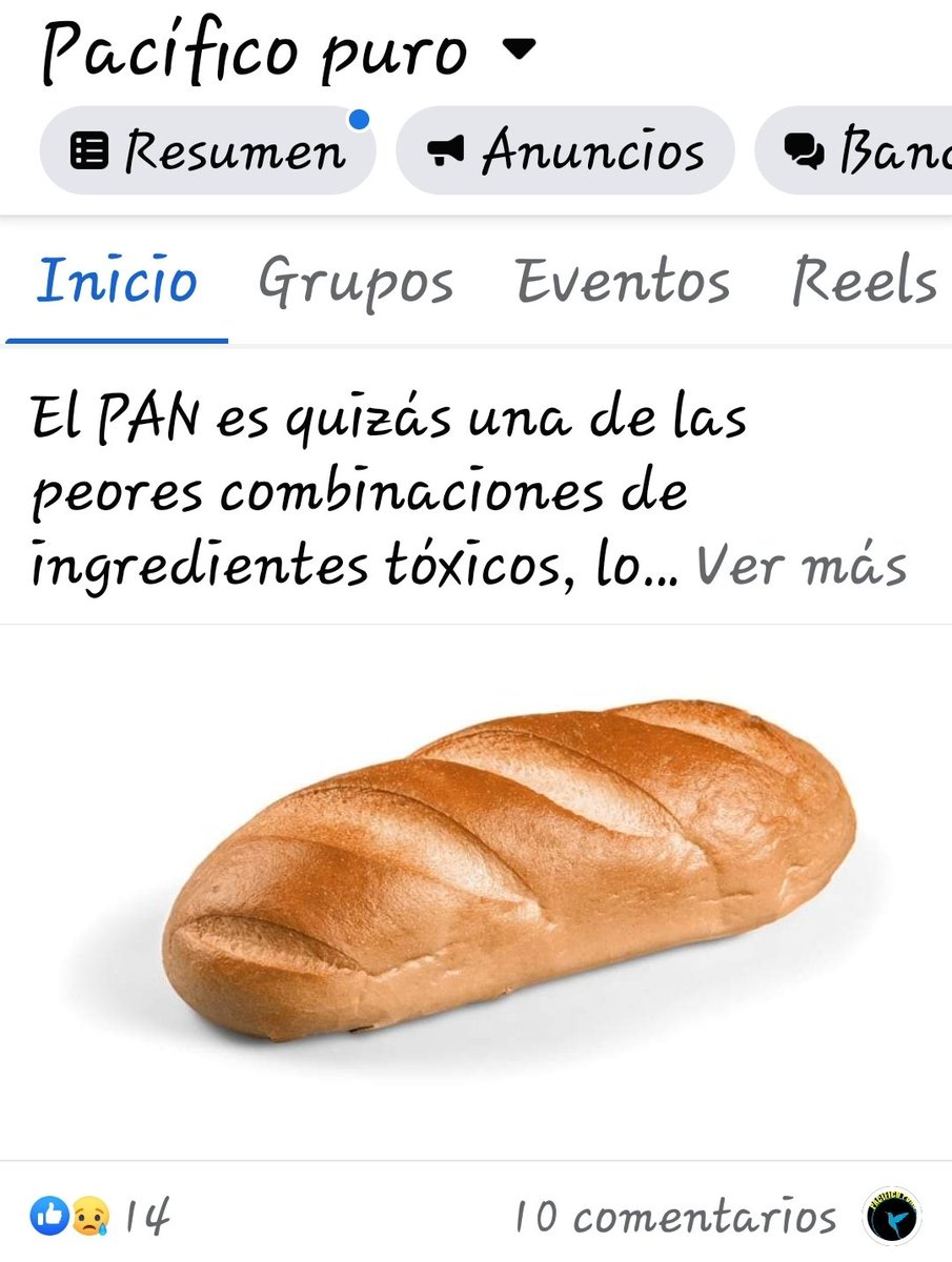 Haroldio2's tweet photo. @endocrinorosero https://t.co/1OuO3swqDo
