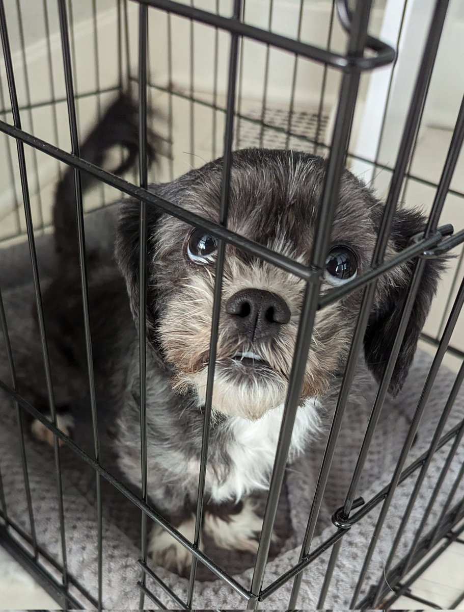 Meagan Graham tweet media