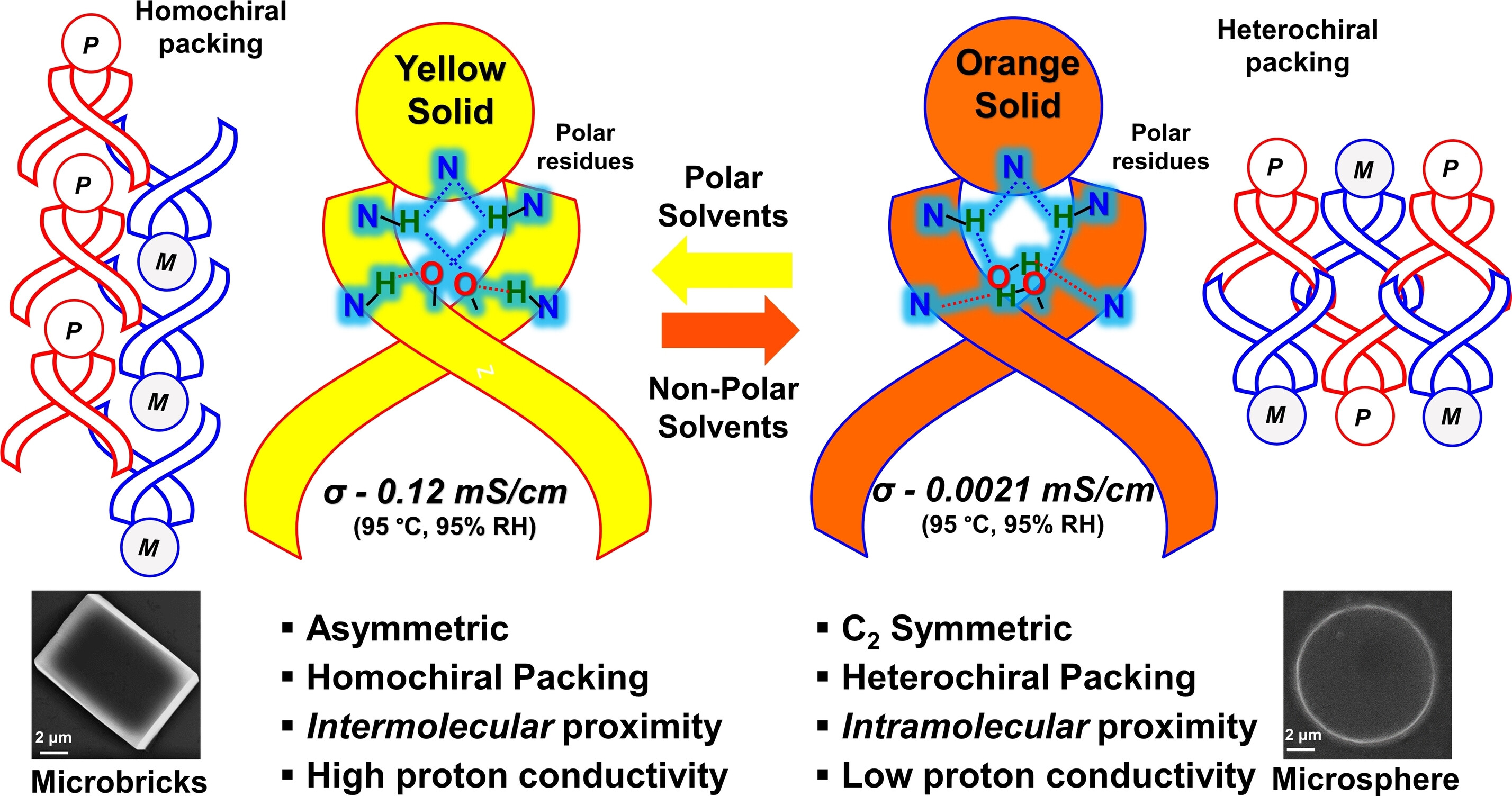 IISER Bhopal Scientists Design a Bioinspired Helical Scaffold for Efficient Solid-State Proton Conduction