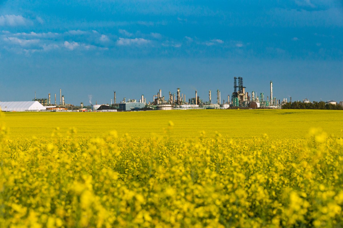 Fluor Corporation Jobs, Careers Profile ClearanceJobs