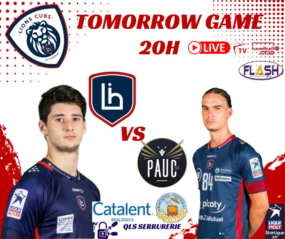 Lions Cubs (@lions_cubs) on Twitter photo 