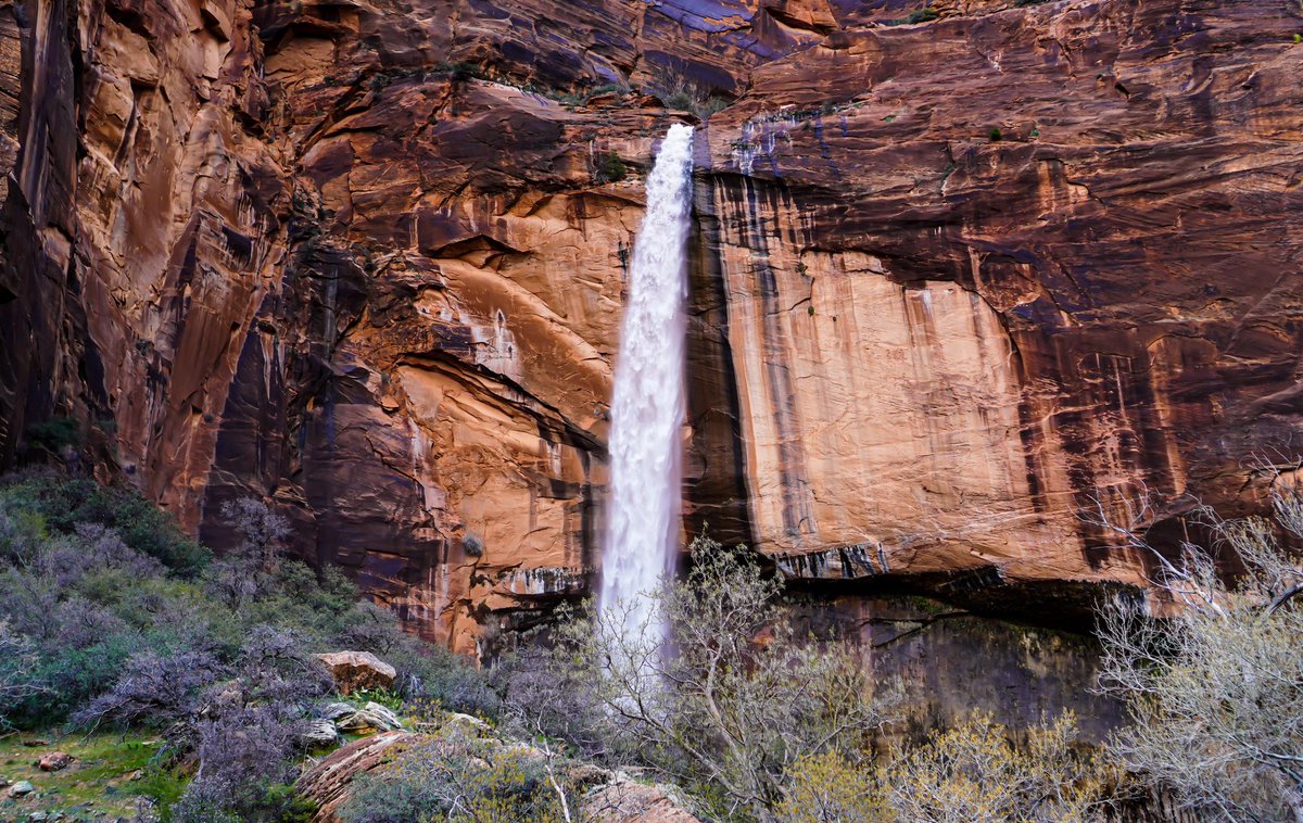 tim9house's tweet photo. A few shots from our trip to Zion 
@ZionNPS @9houseArt https://t.co/RS2nwyYn11