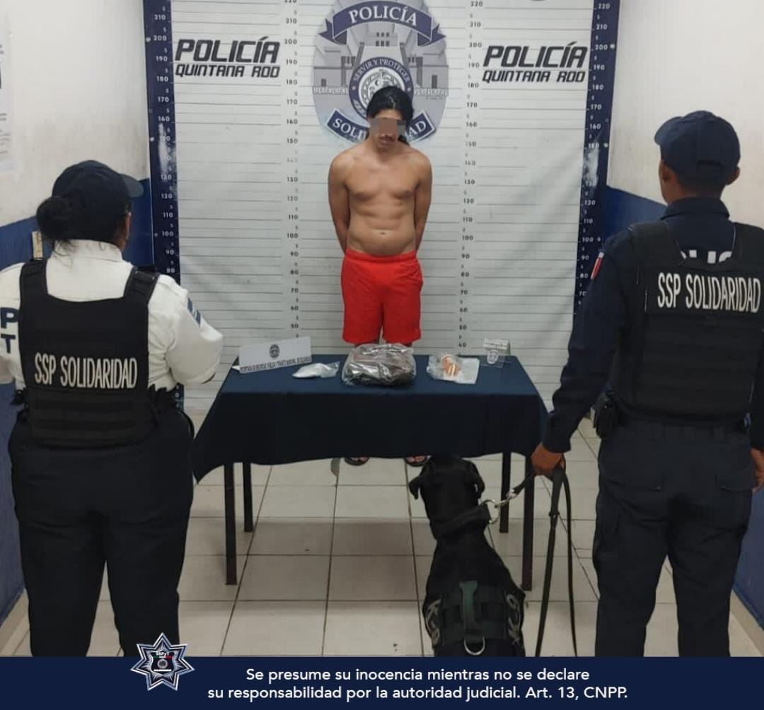 SSC_PDC's tweet photo. Durante los recorridos de vigilancia y prevención de delitos en la zona turística, que realizan los policías de la SSPyT de Solidaridad, fueron aseguradas dos personas en posesión de narcóticos en diferentes puntos. 

https://t.co/s7LoaATjOx https://t.co/jXuypDGWLh
