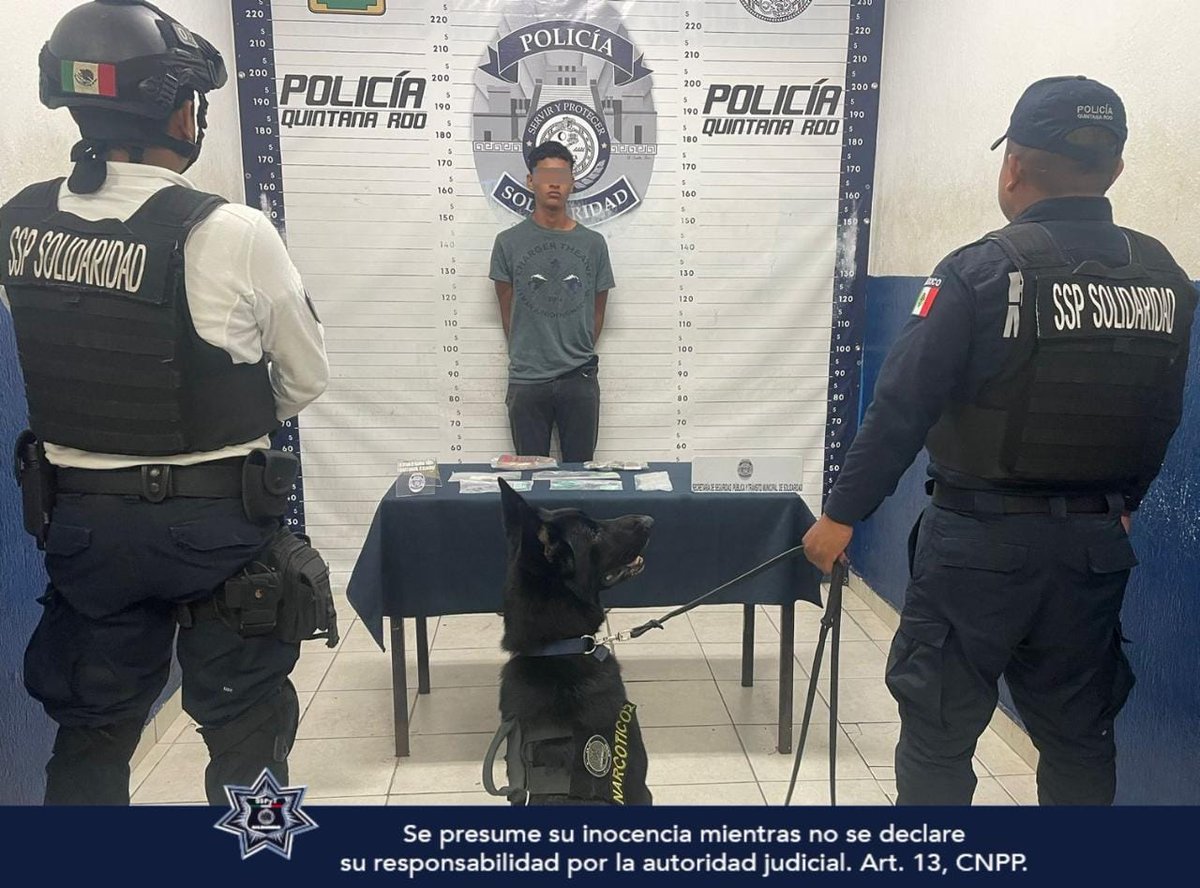 SSC_PDC's tweet photo. Durante los recorridos de vigilancia y prevención de delitos en la zona turística, que realizan los policías de la SSPyT de Solidaridad, fueron aseguradas dos personas en posesión de narcóticos en diferentes puntos. 

https://t.co/s7LoaATjOx https://t.co/jXuypDGWLh