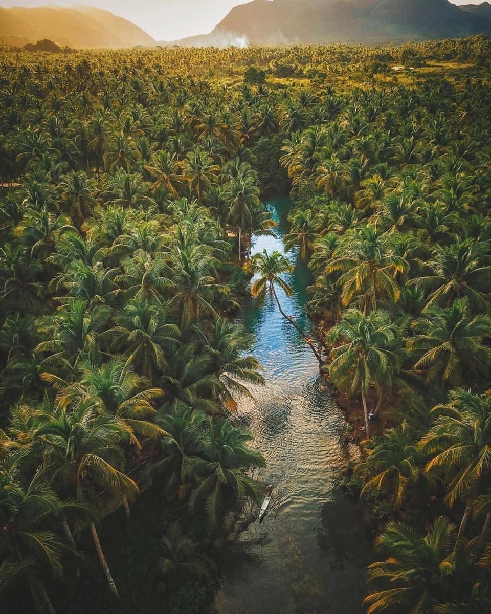 goldenshepard's tweet image. Absurd times CALL ☎️ for absurd amounts of LOVE 💕 ❗️ #love #goodmorning #AllLivesMatters #humanity #ThisMorning #Thursday #ThursdayThought #thursdayvibe #BeKindToEveryone