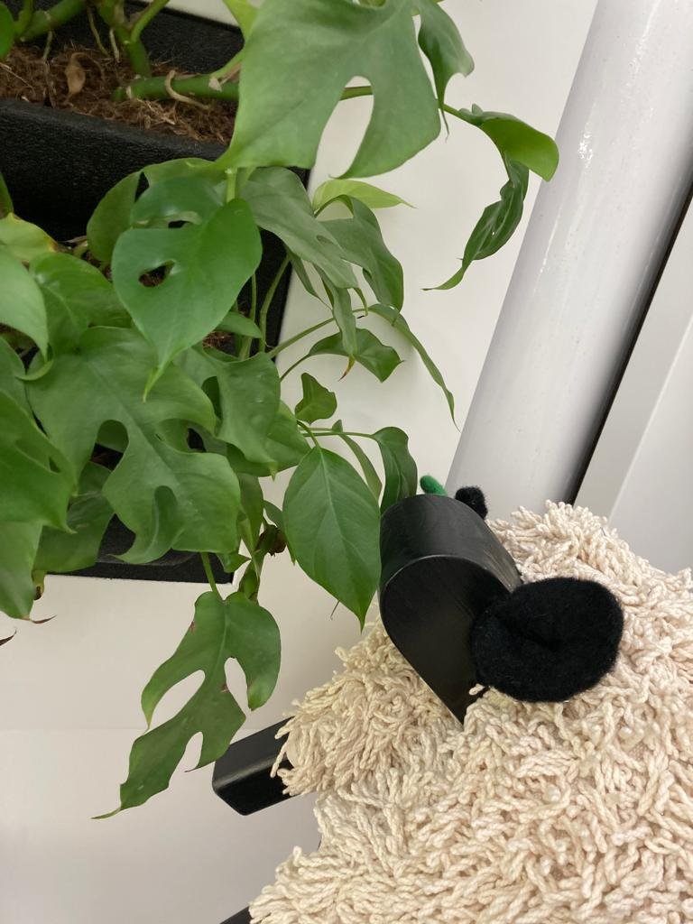 UWTSDLib's tweet photo. (1/2)

The library sheep seems to love our living walls! The library sheep is spending another day in the library.

#librarysheep #namethelibrarysheep #Competition https://t.co/mjM5o5roNc